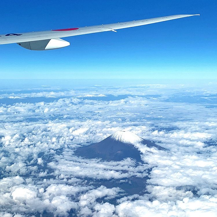 まさまさ　さま