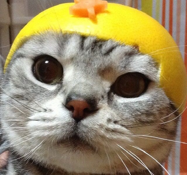 まーさん