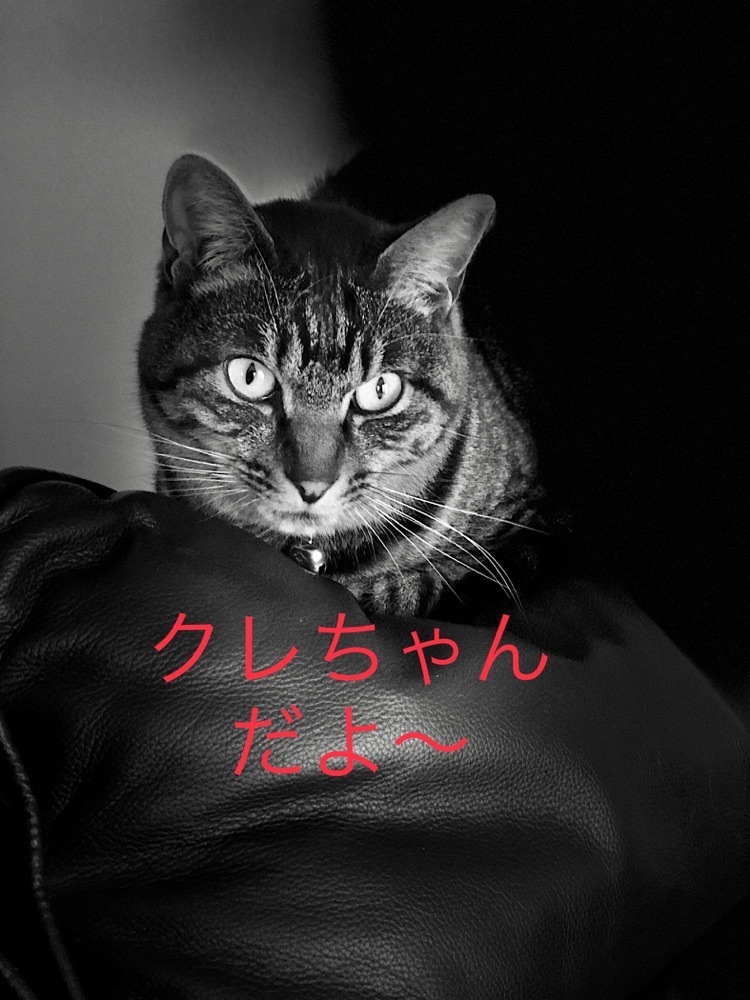 sei