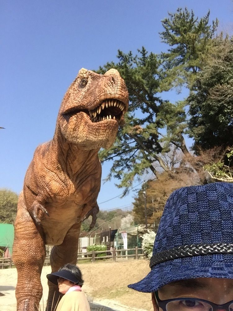リントン(*>∇<)ﾉ