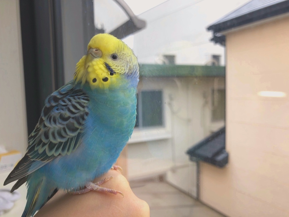 み ず き
