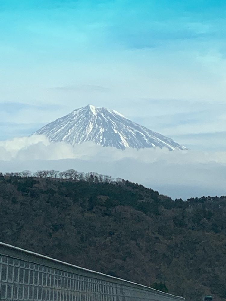 _location_2cde ダルマ大使