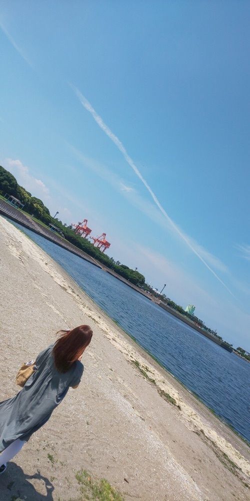 nori