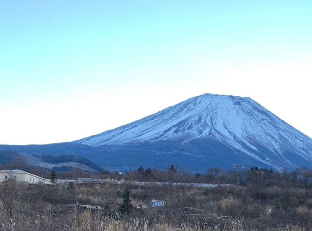 ジンママ