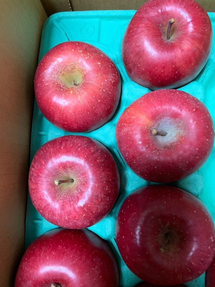林檎