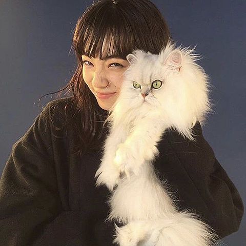 ふみ
