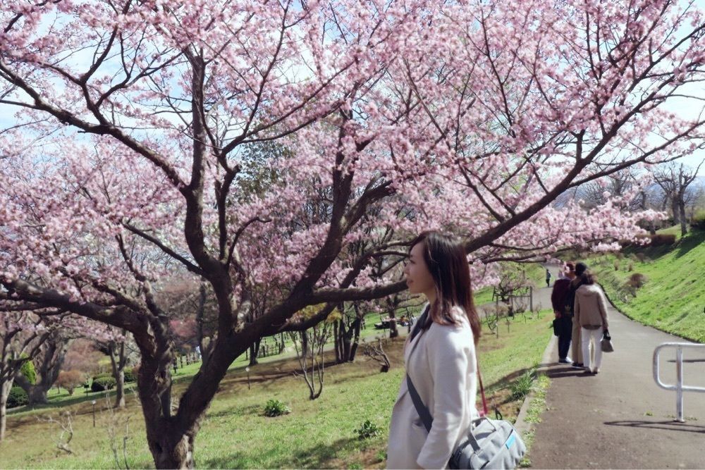 soragram_travel
