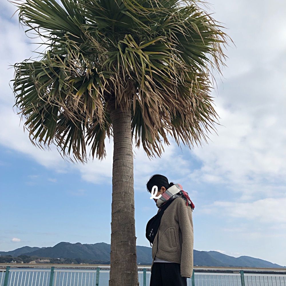matsuri.