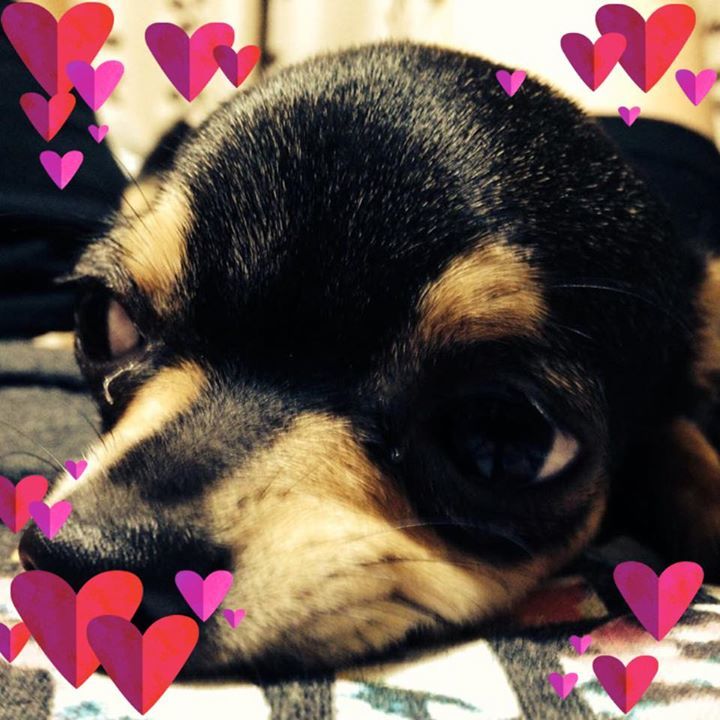 Fumie