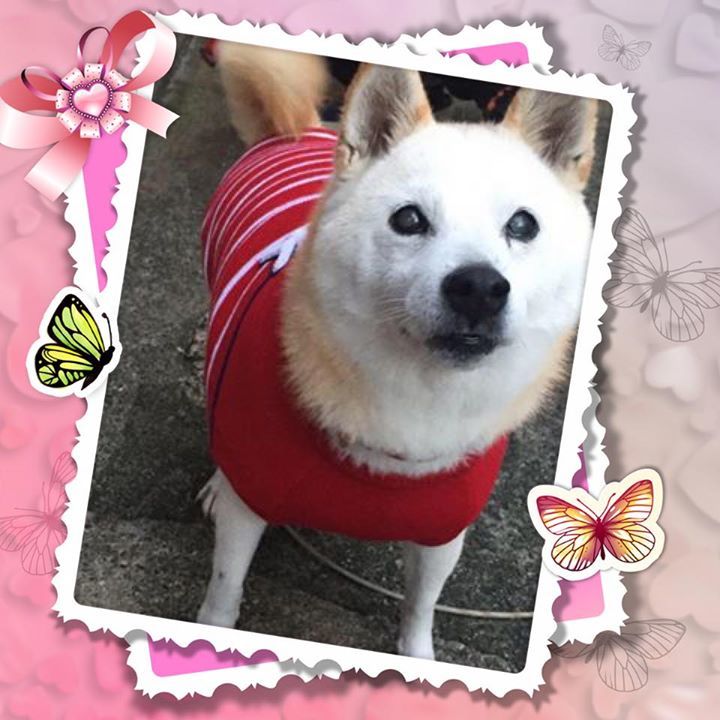Yuka